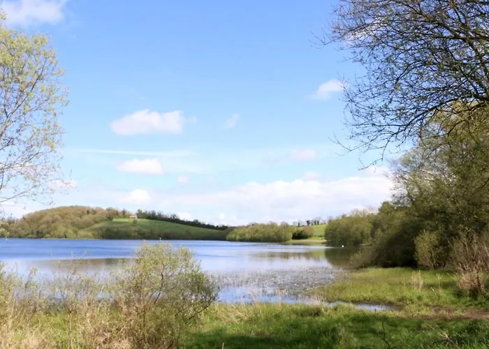 Emy - Near Castle Leslie, Glaslough *